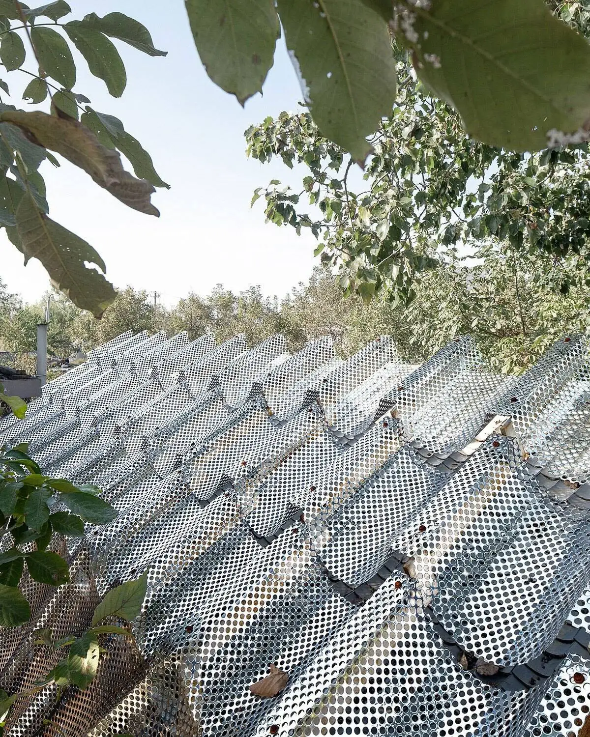 تصاویر؛ معماری هوشمندانه برای خلق یک ورودی متفاوت