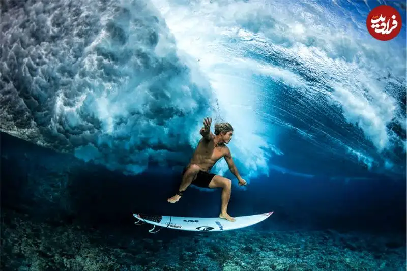 14 شاهکار عکاسی که در سال 2025 برنده جایزه شدند