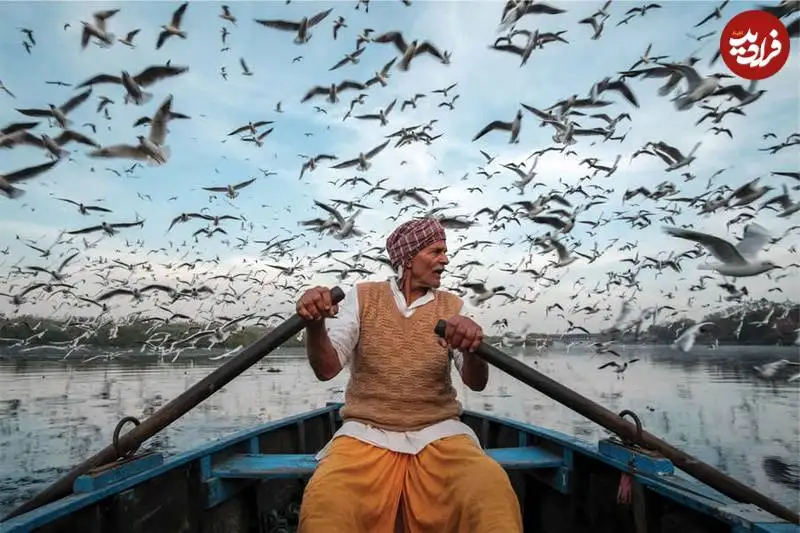 14 شاهکار عکاسی که در سال 2025 برنده جایزه شدند