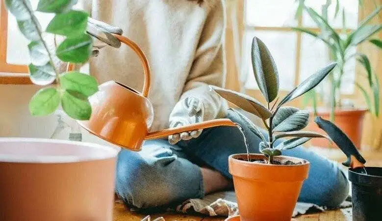 آیا می دانستید زباله های روزمره شما، غذای گیاهان تان است؟