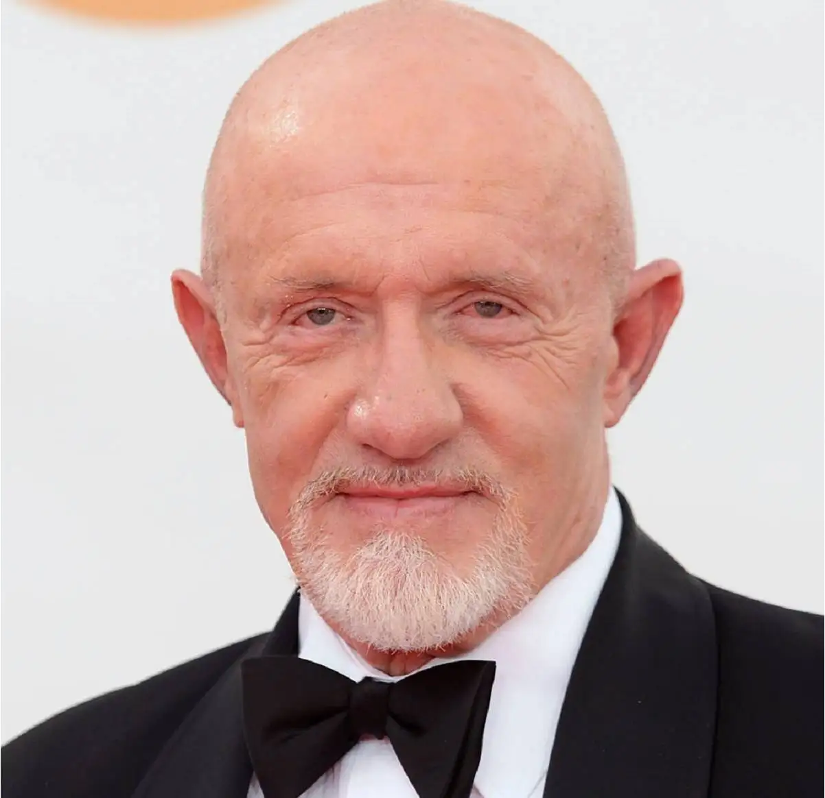 تصاویر| زندگی خصوصی، عکس های شخصی و بیوگرافی جاناتان بنکس