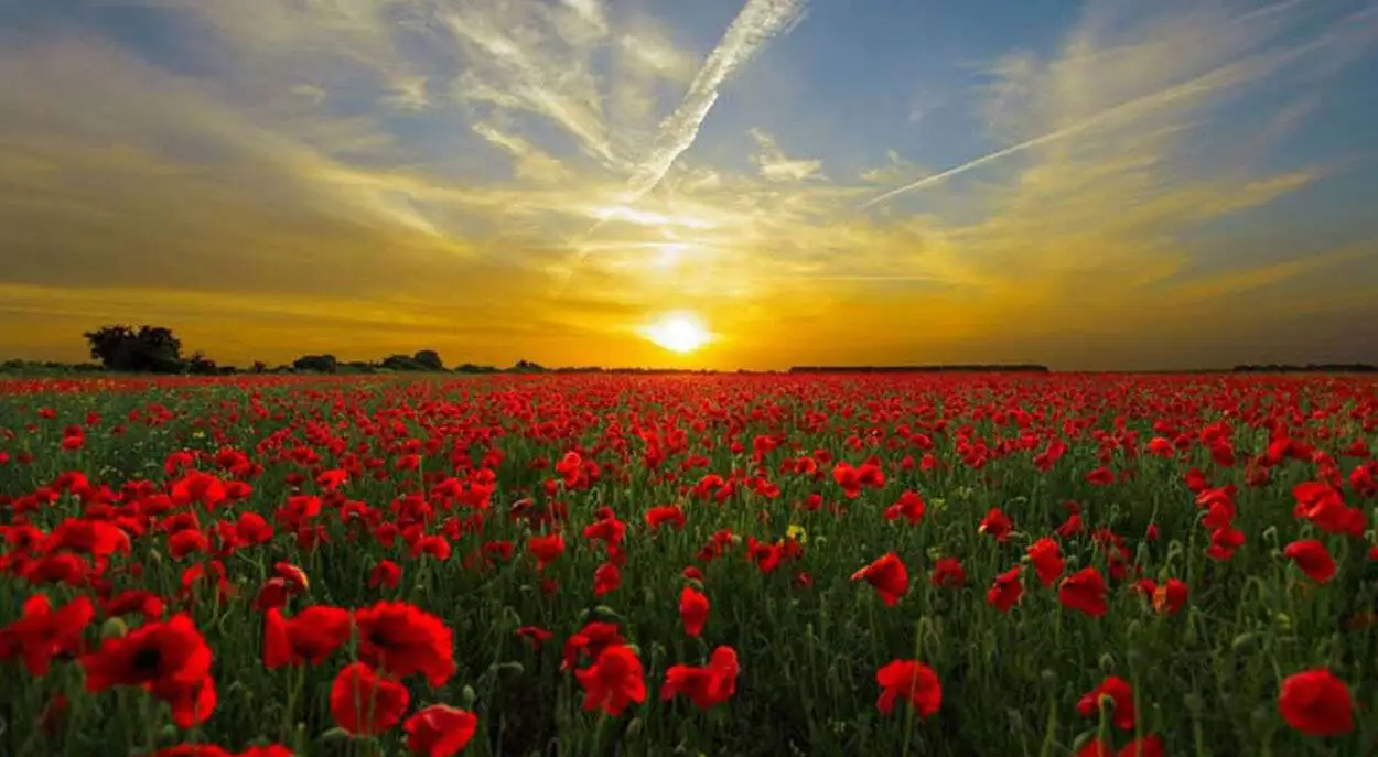 تصاویر| کمپ زیر آسمان پاییز؛ 5 مقصد بکر برای کمپینگ در نیمه دوم سال