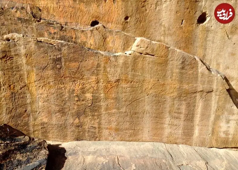 کشف «شترهای 12 هزارساله» در بیابان های عربستان