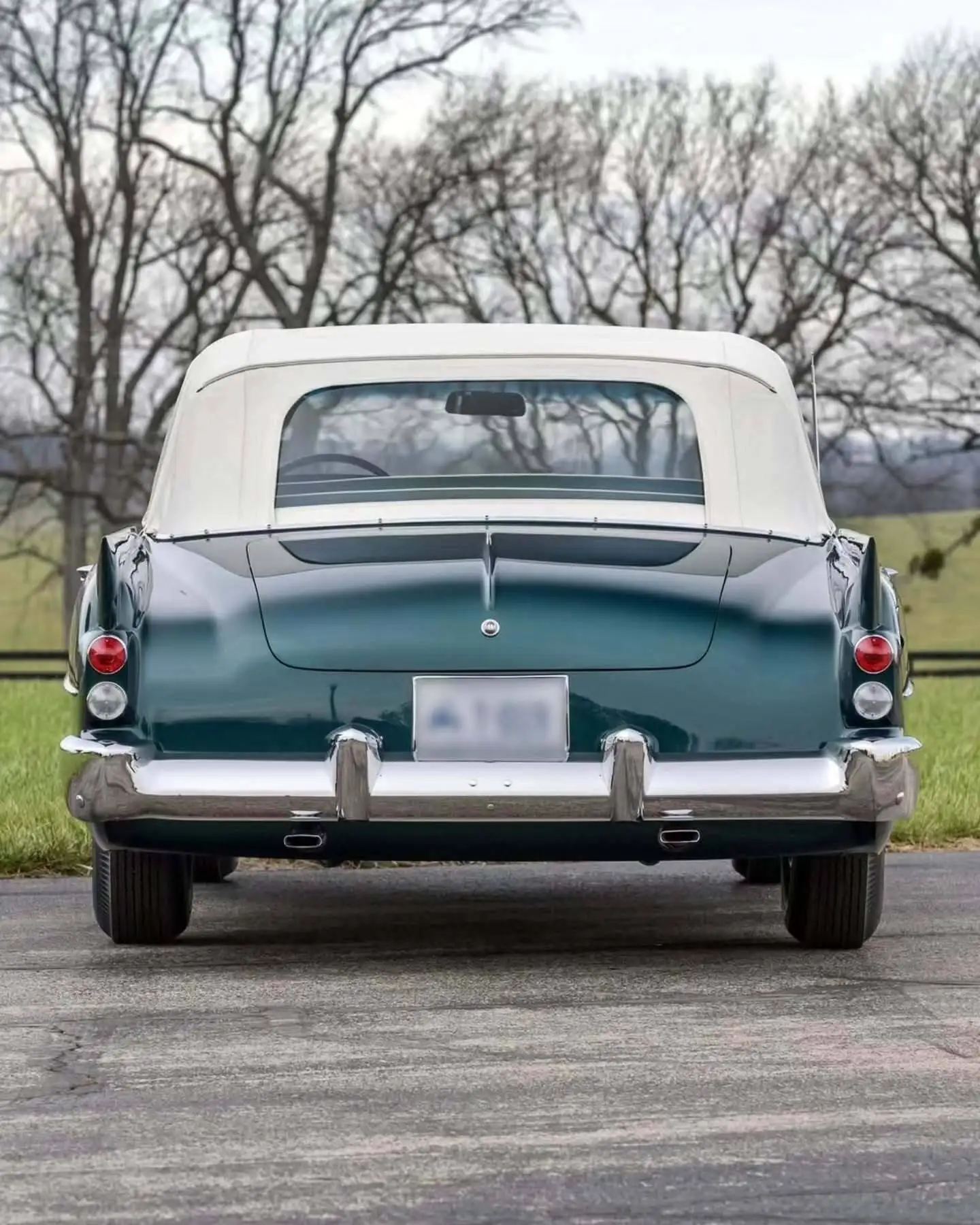 تصاویر؛ اگر ثروتمندی نمی توانست «دوال گیا» بخرد آن گاه به رولزرویس فکر می کرد! 