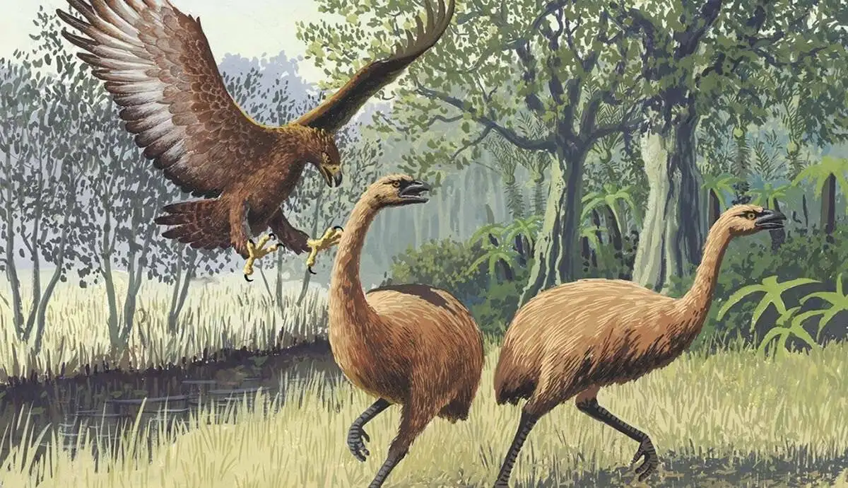 وحشتناک ترین عقاب تاریخ که انسان را هم شکار می کرد