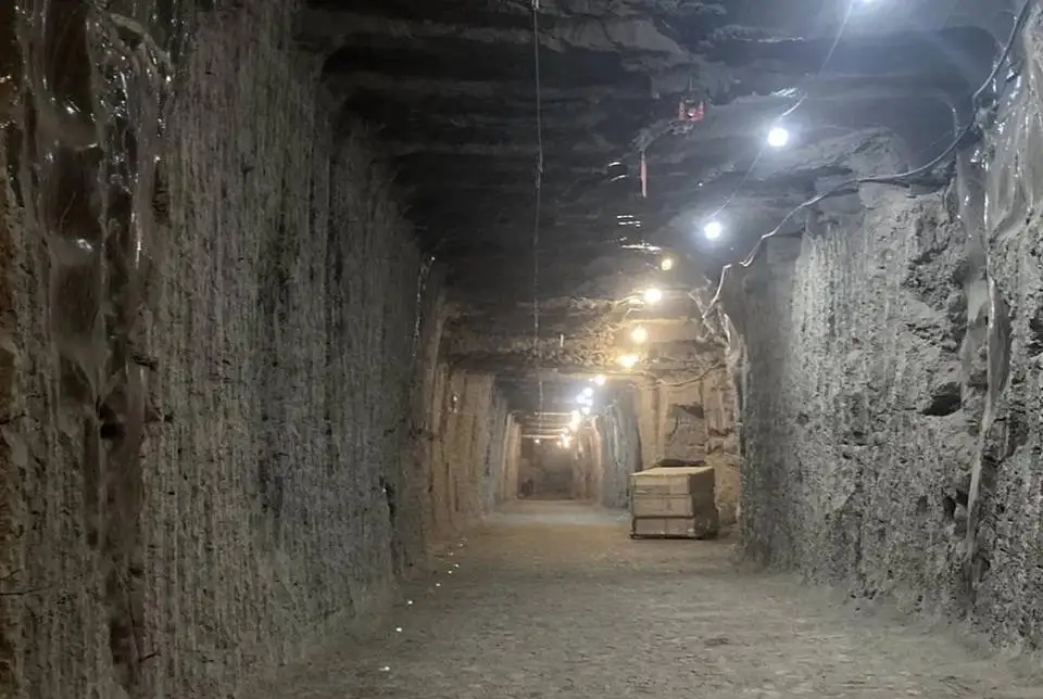 دانشمندان میکروب های یخ زدۀ آلاسکا را بعد از 40 هزارسال بیدار کردند