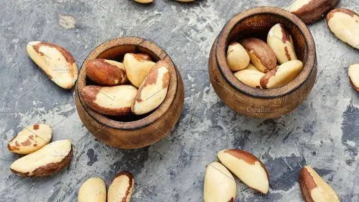 بهترین مغزدانه ها برای رژیم غذایی روزانه از نظر کارشناسان؛ از بادام و گردو تا آجیل برزیلی