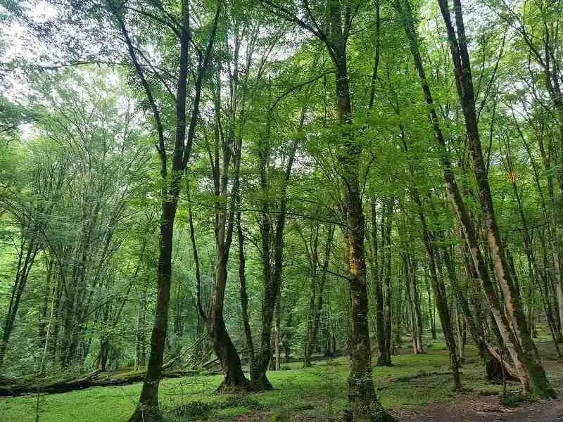 چشمه آبگرم بلیران؛ جایی برای درمان دردهای مفصلی در خنکای پاییز مازندران