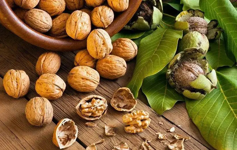 بهترین مغزدانه ها برای رژیم غذایی روزانه از نظر کارشناسان؛ از بادام و گردو تا آجیل برزیلی