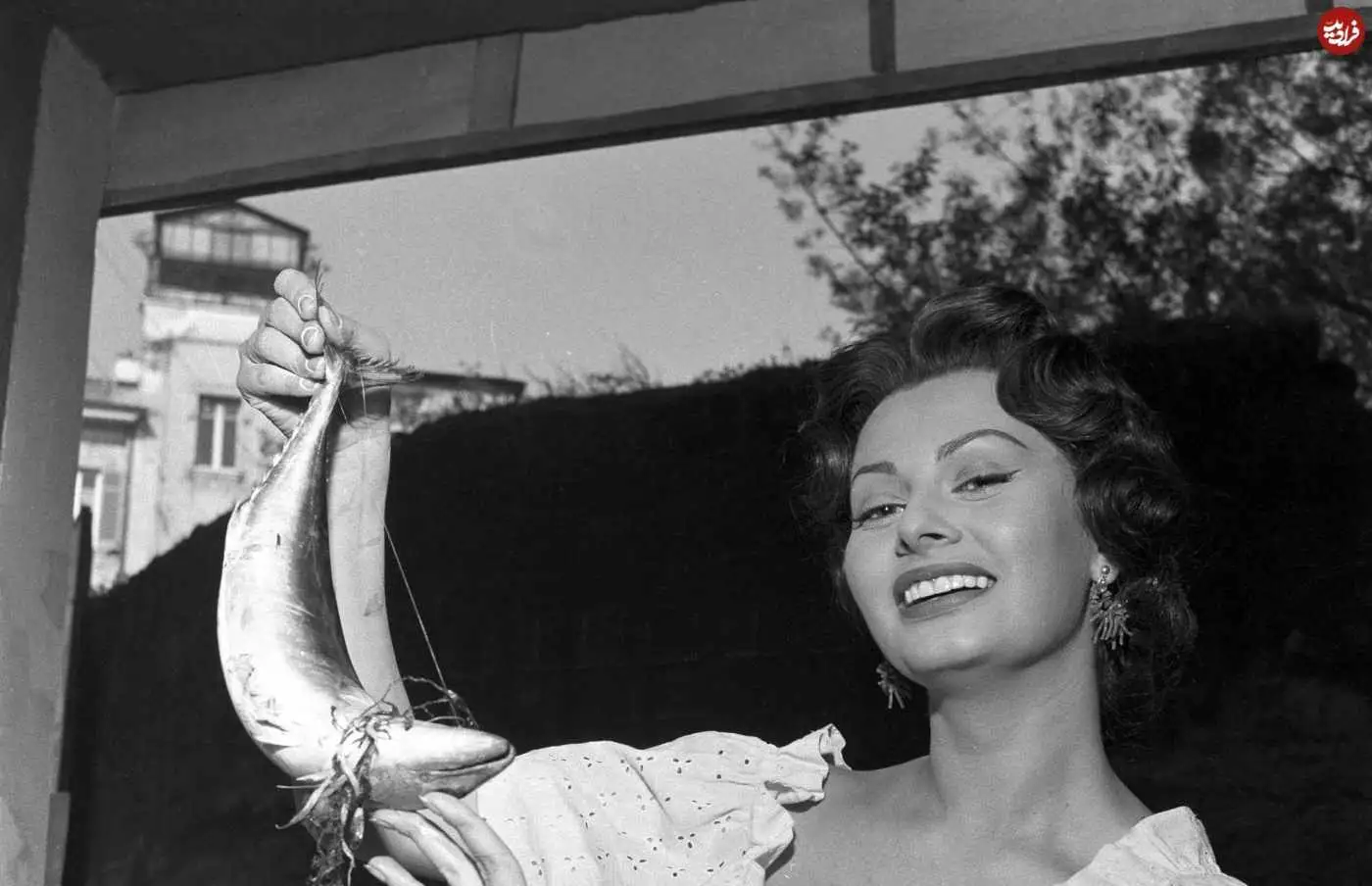 عکس| سفر در زمان؛ «سوفیا لورن» در پشت صحنه فیلم «طلای ناپل» در ناپل؛ سال 1332