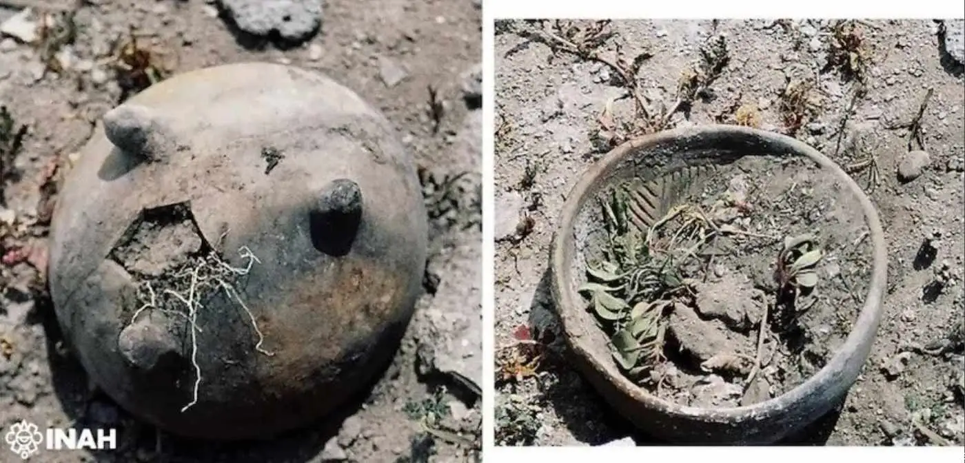 کشف یک تپۀ دست ساز هزارساله به شکل «عقرب» که تغییر فصل ها را نشان می داد