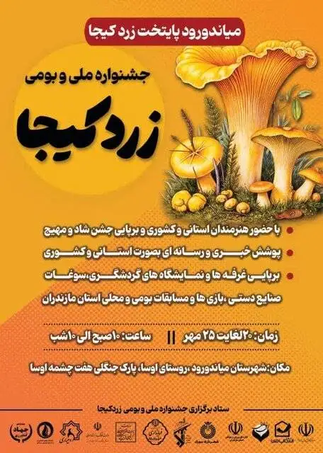 تصاویر؛ قارچ «زردکیجا»؛ هدیه پروتئینی هیرکانی