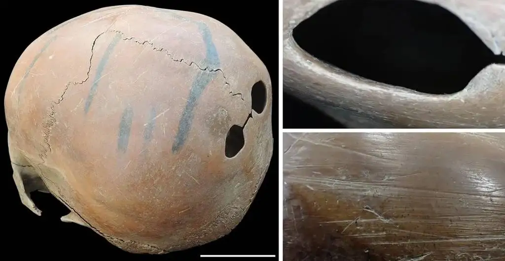 جمجمه های 5 هزارساله ای که به «کاسه» تبدیل شده اند