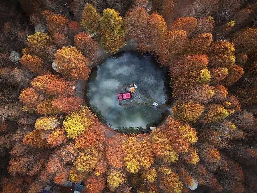 شاهکارهای عکاسی که برندۀ «جوایز جهانی عکاسی 2025» شدند