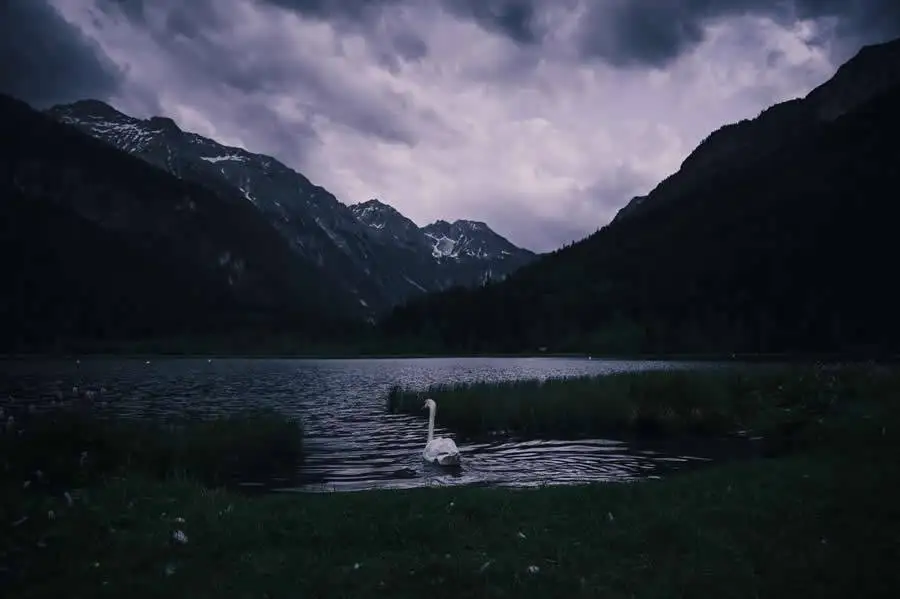 شاهکارهای عکاسی که برندۀ «جوایز جهانی عکاسی 2025» شدند