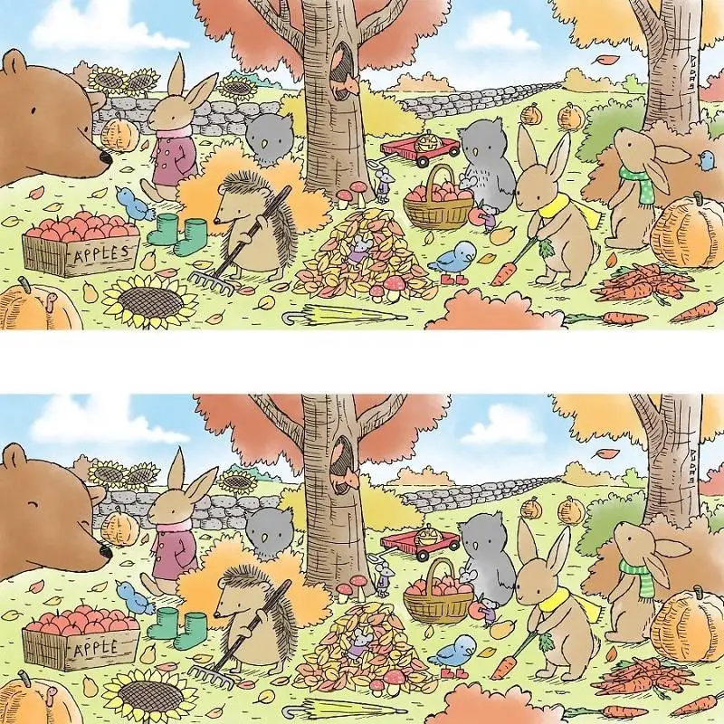 10 تفاوت بین دو تصویر را در 25 ثانیه پیدا کنید