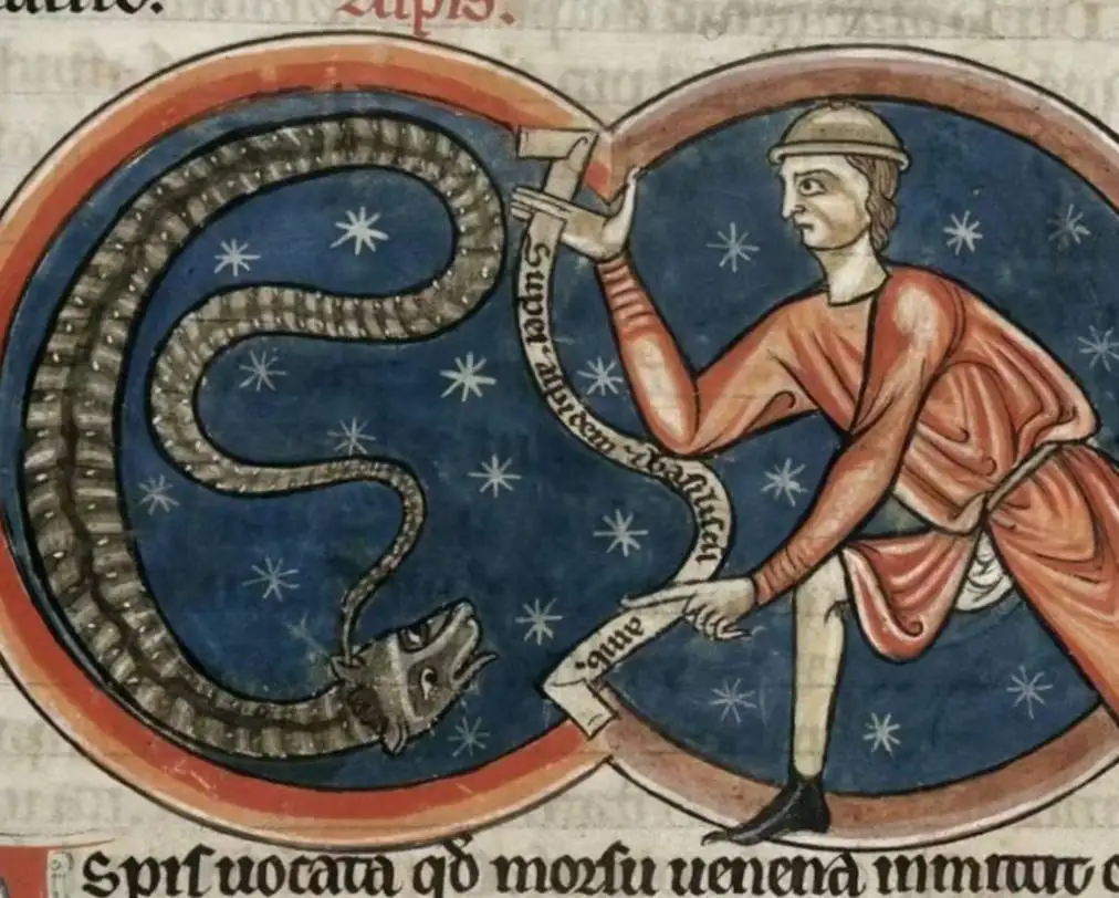 اعتقادات قرون وسطایی دربارۀ حیوانات؛ از «جوجه تیغی شیردزد» تا «خرگوش جادوگر»