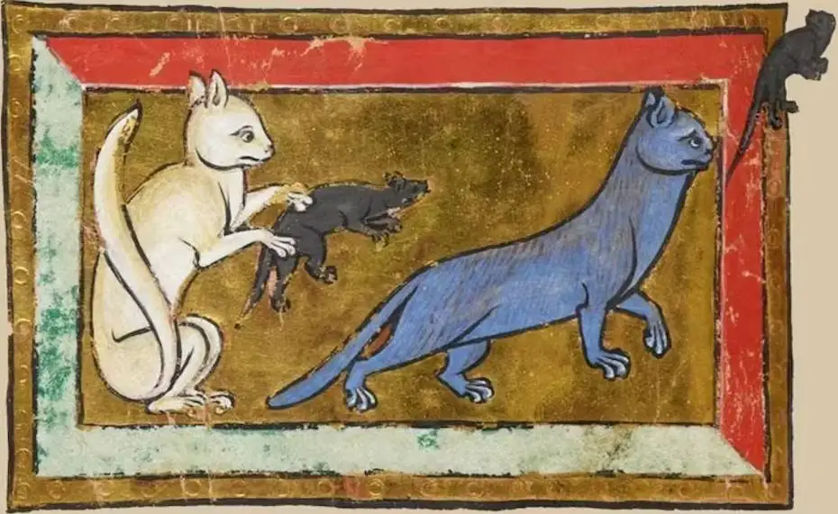 اعتقادات قرون وسطایی دربارۀ حیوانات؛ از «جوجه تیغی شیردزد» تا «خرگوش جادوگر»