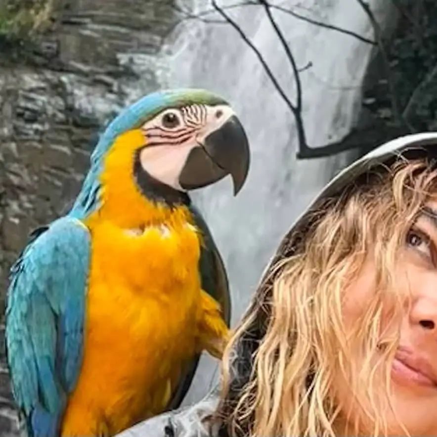 تصاویر؛ سفر ماجراجویانه آناهیتا نعمتی با طوطی رنگارنگ در دل طبیعت