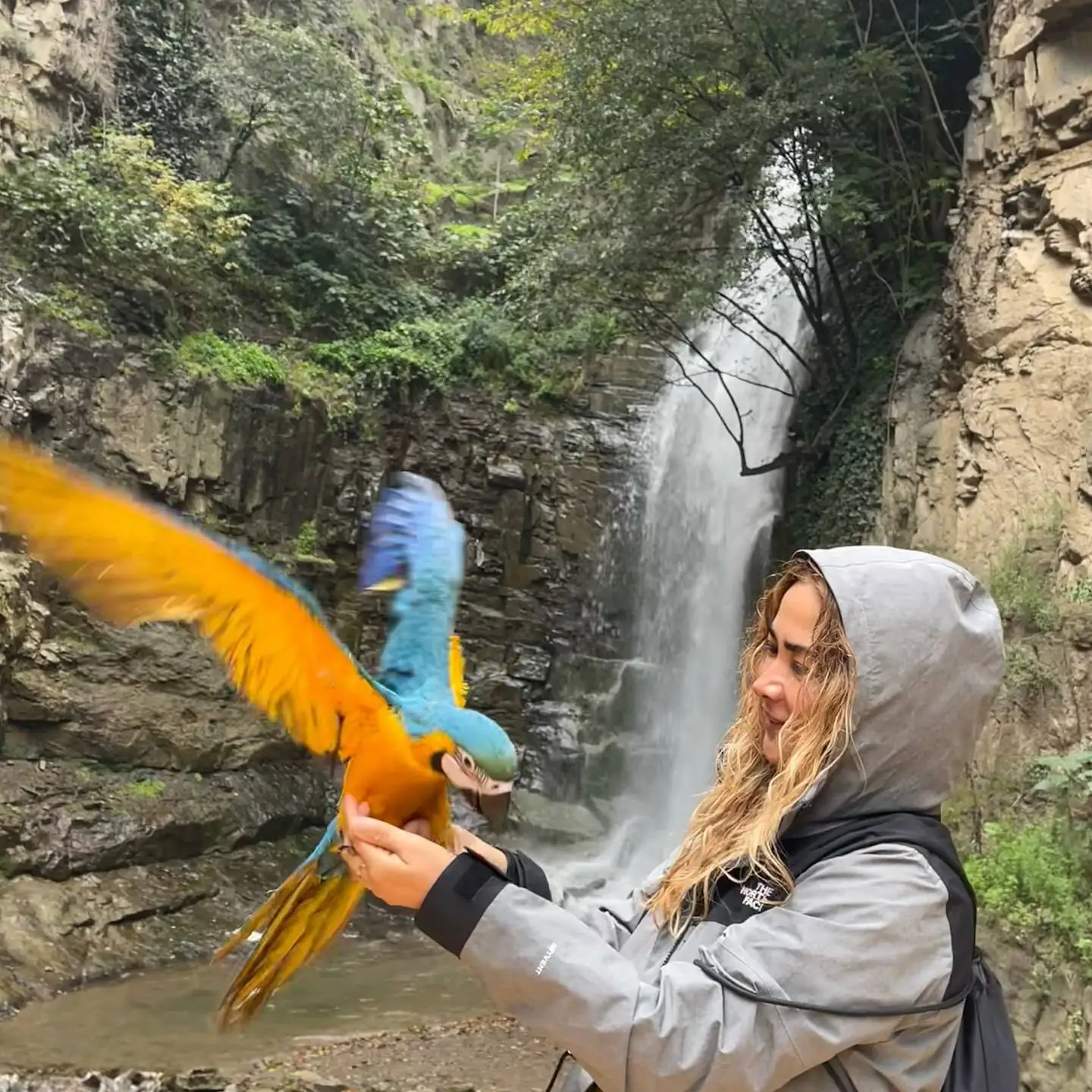 تصاویر؛ سفر ماجراجویانه آناهیتا نعمتی با طوطی رنگارنگ در دل طبیعت