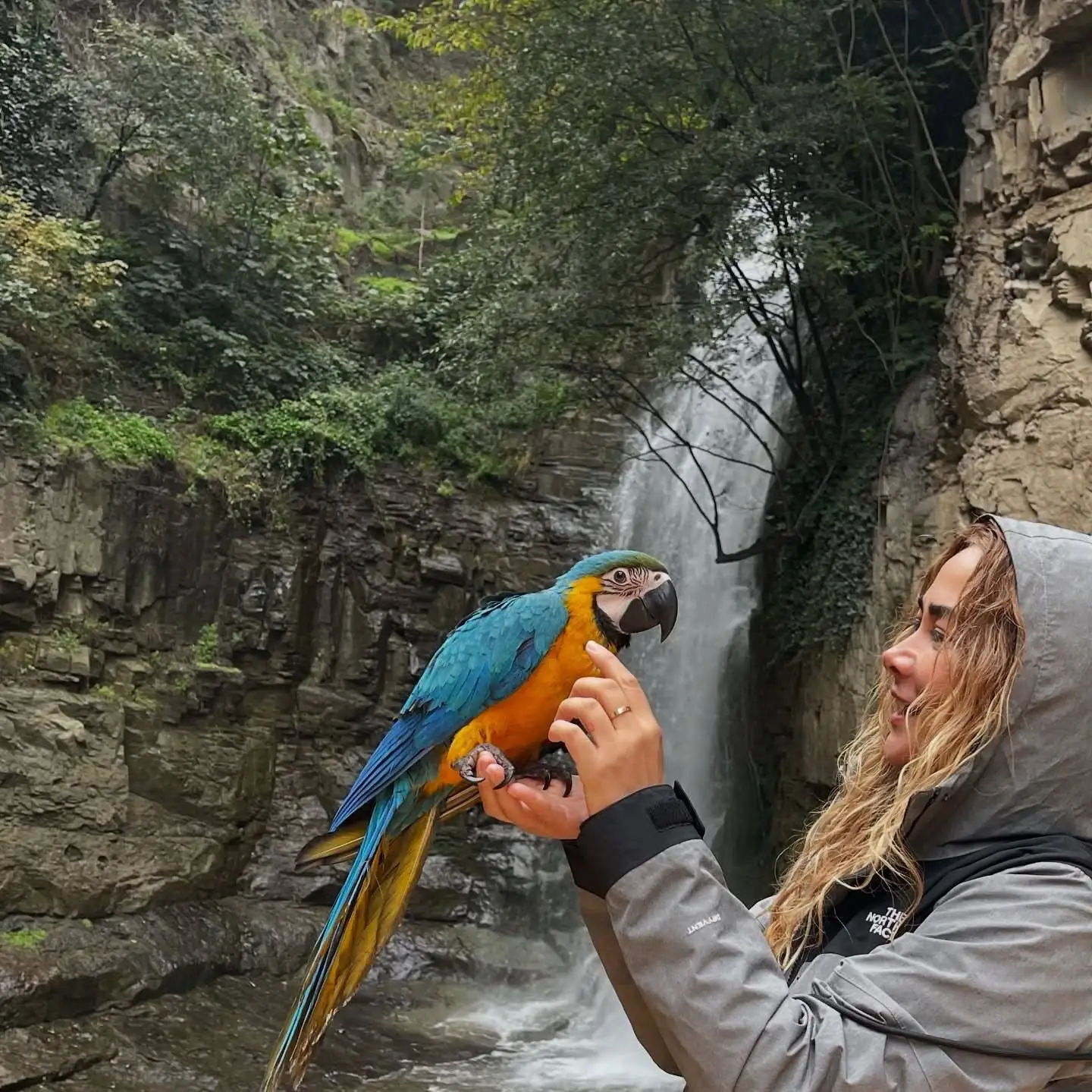 تصاویر؛ سفر ماجراجویانه آناهیتا نعمتی با طوطی رنگارنگ در دل طبیعت