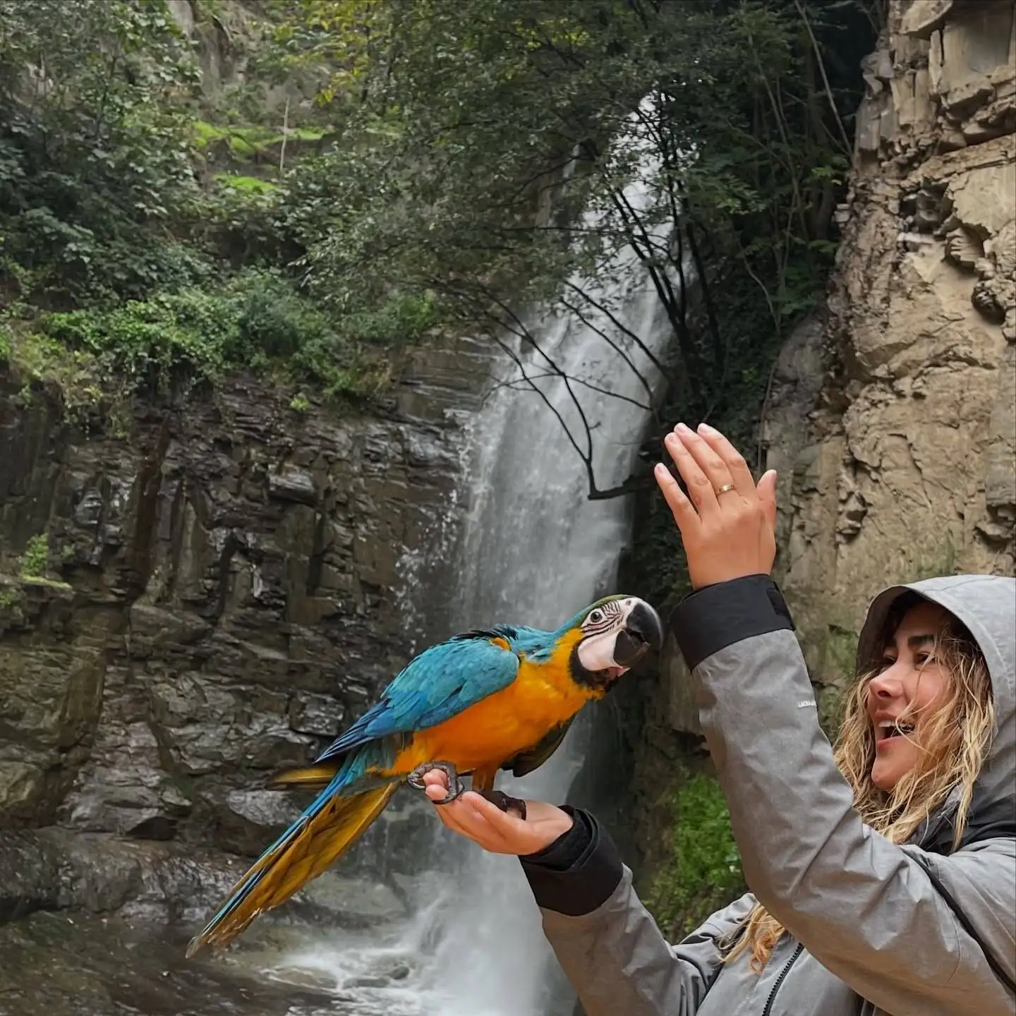 تصاویر؛ سفر ماجراجویانه آناهیتا نعمتی با طوطی رنگارنگ در دل طبیعت