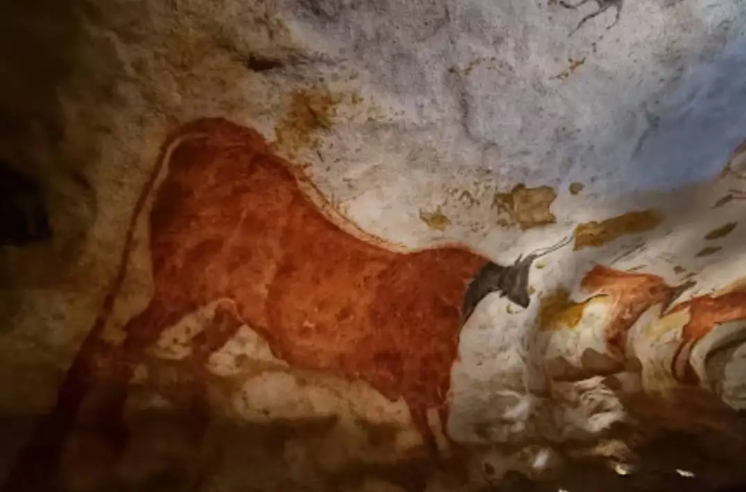 ماجرای نقاشی هایی که از «گاوهای مستطیلی» کشیده شده اند