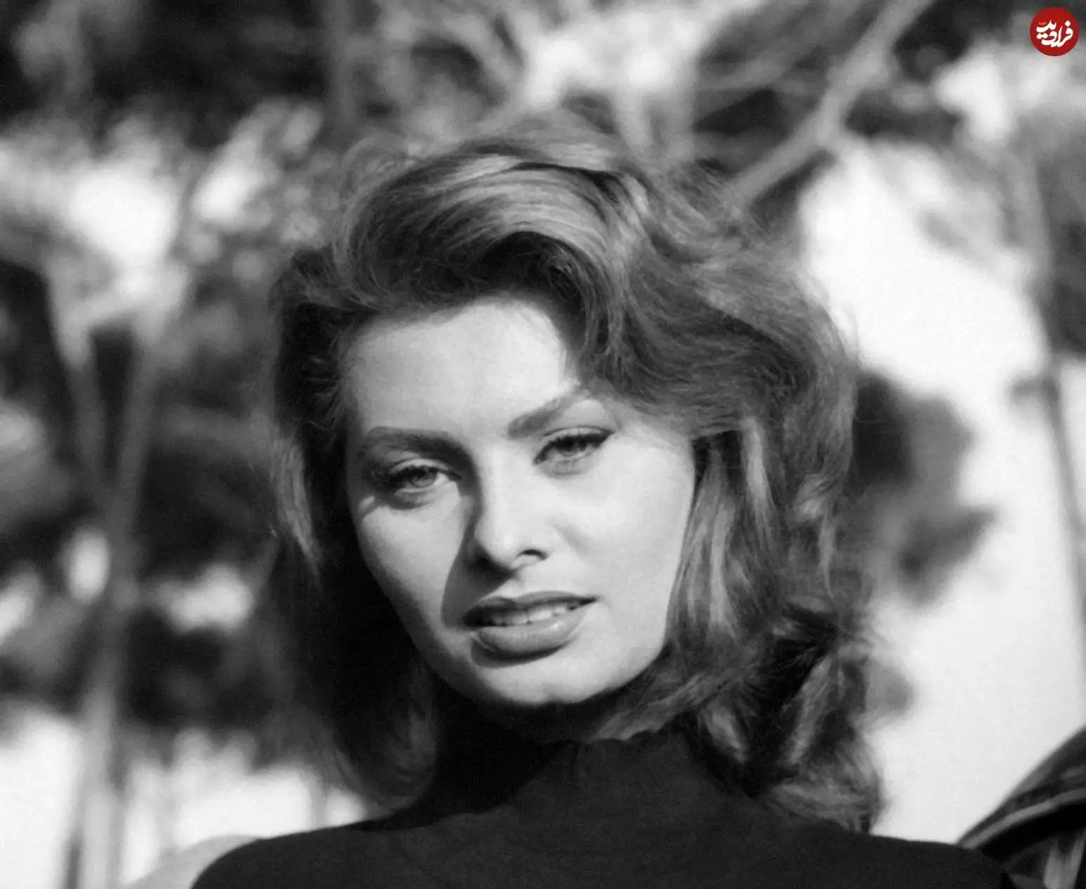 عکس| سفر در زمان؛ سوفیا لورن در یک عکس تبلیغاتی؛ سال 1332