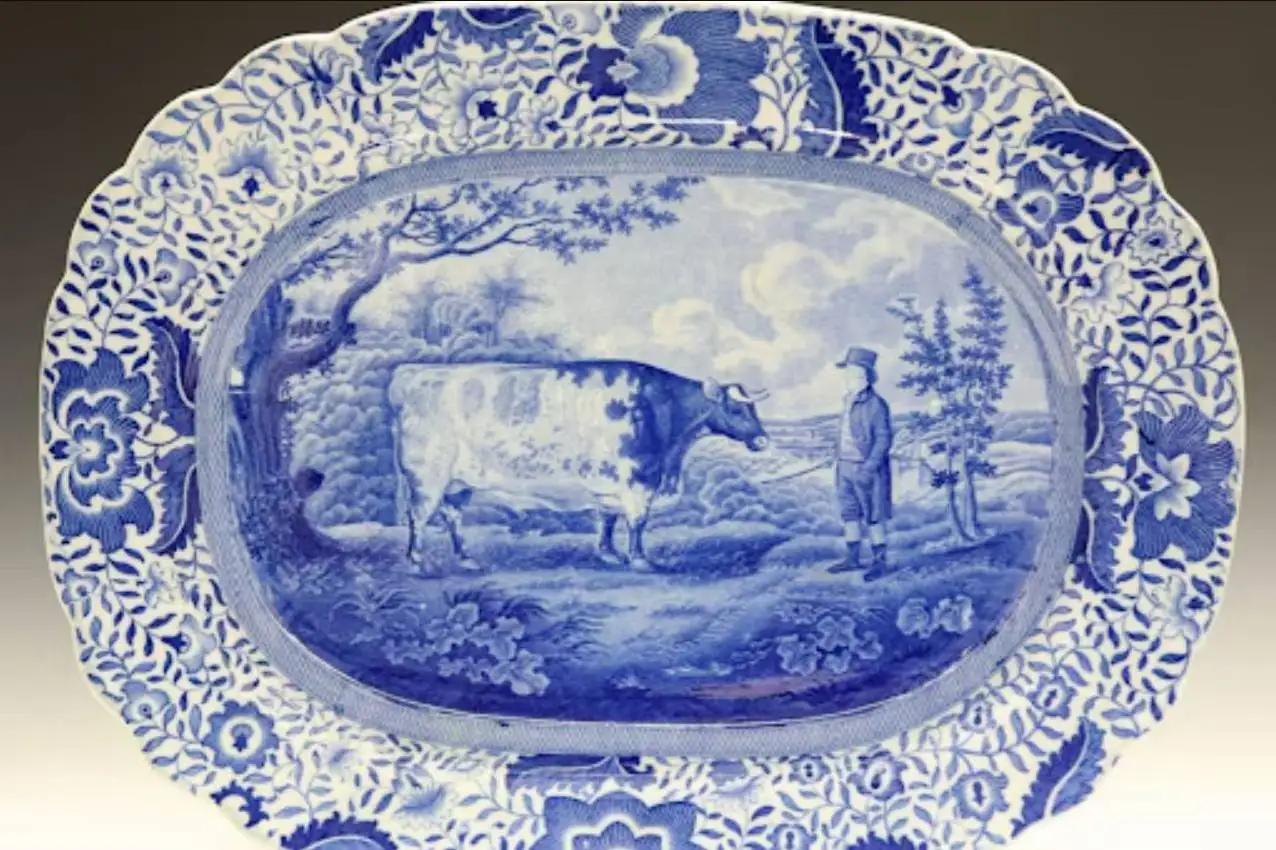 ماجرای نقاشی هایی که از «گاوهای مستطیلی» کشیده شده اند