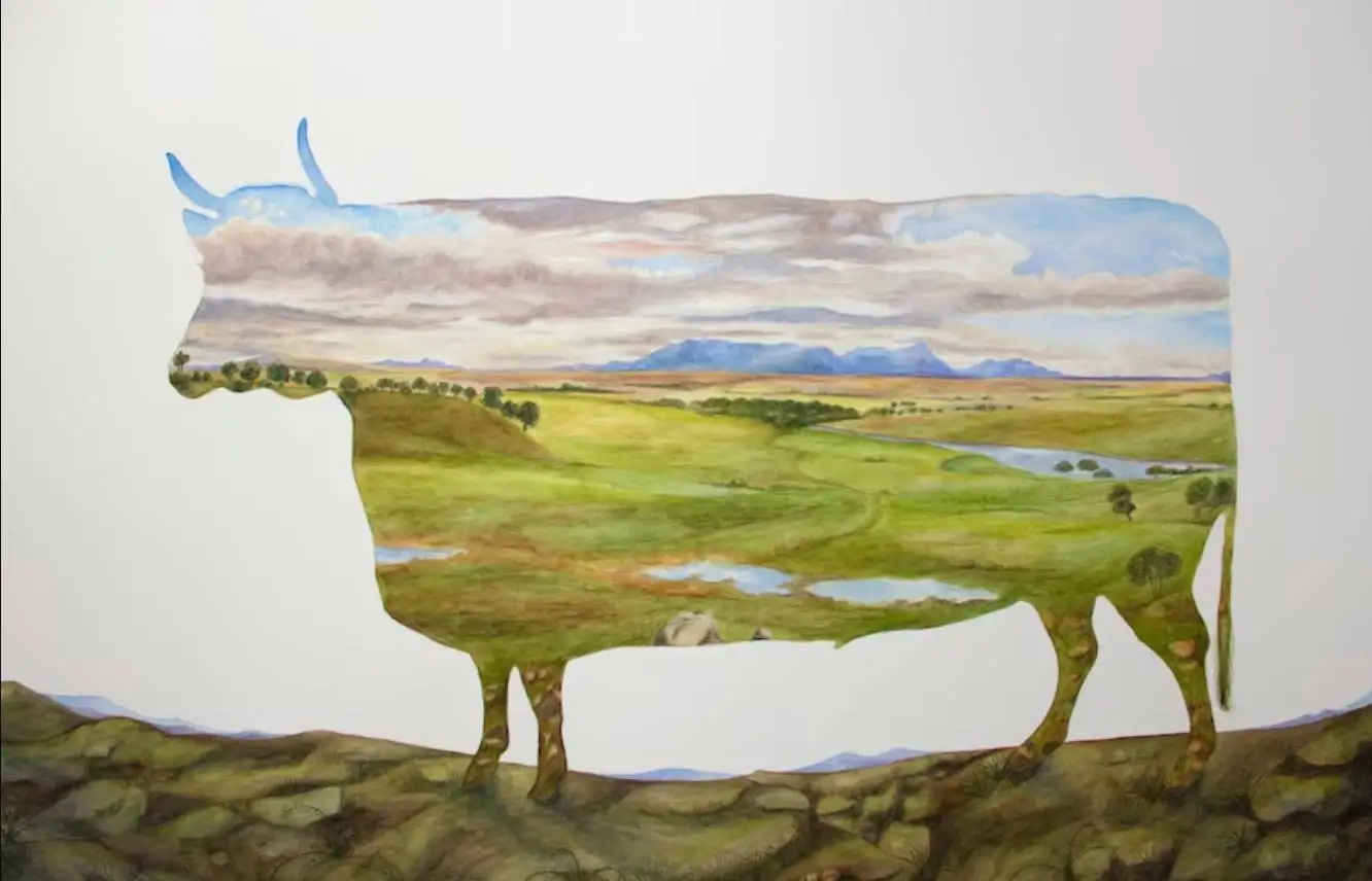 ماجرای نقاشی هایی که از «گاوهای مستطیلی» کشیده شده اند