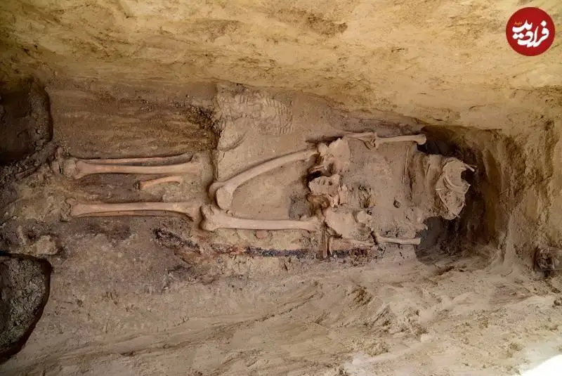 جنگجوی باستانی با شمشیرش بعد از 1400 سال از زیر خاک بیرون آمد