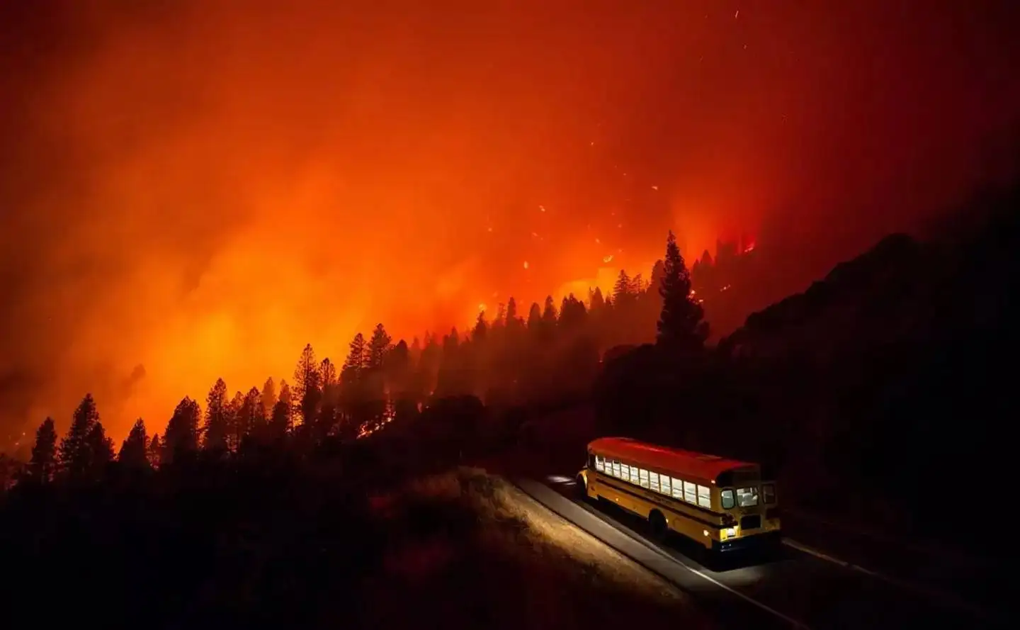 نقد فیلم اتوبوس گمشده (the lost bus)