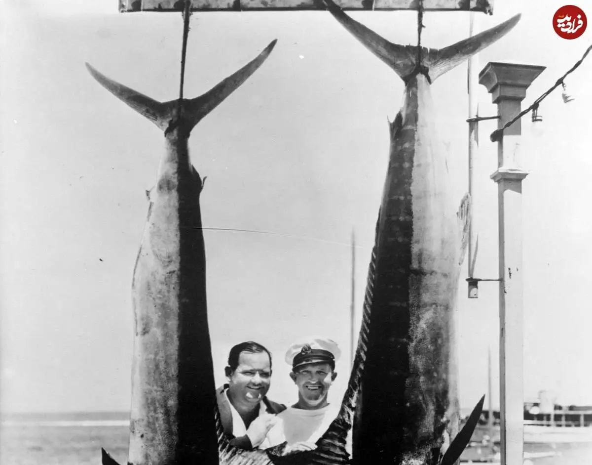 عکس| سفر در زمان؛ «لورل و هاردی» در کنار دو ماهی غول پیکر؛ سال 1308