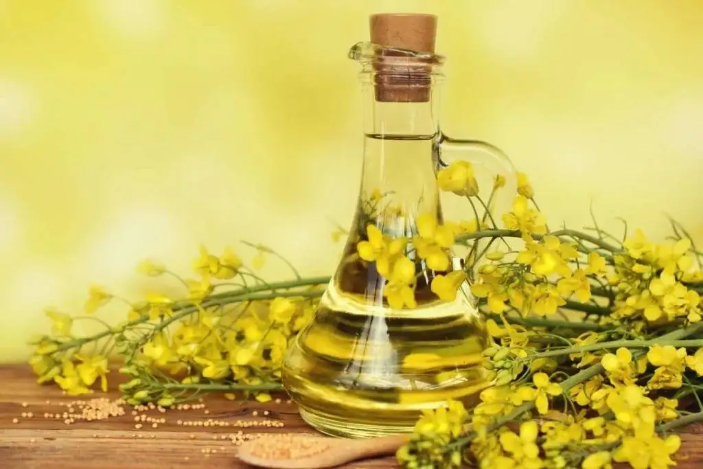 کدام روغن پخت وپز برای شما مناسب تر است و چطور آن را به درستی به کار ببرید؟