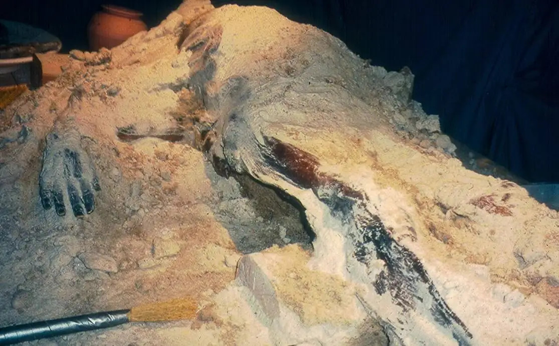 مردی که 30 سال پیش به روش مصر باستان «مومیایی» شد