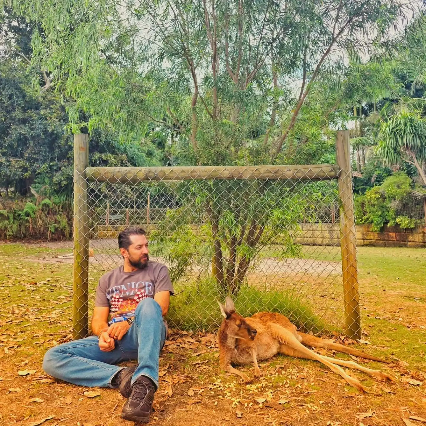 عکس جدید بهرام رادان در استرالیا؛ پرتره بازیگر در کنار «کانگورو»