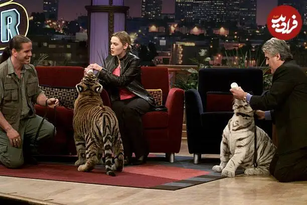 عکس| سفر در زمان؛ «رز فیلم تایتانیک» در حال غذا دادن به یک توله ببر؛ سال 1378