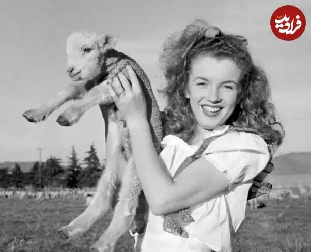 عکس| سفر در زمان؛ «مرلین مونرو» در حال بغل گرفتن یک بره در کالیفرنیا؛ سال 1323