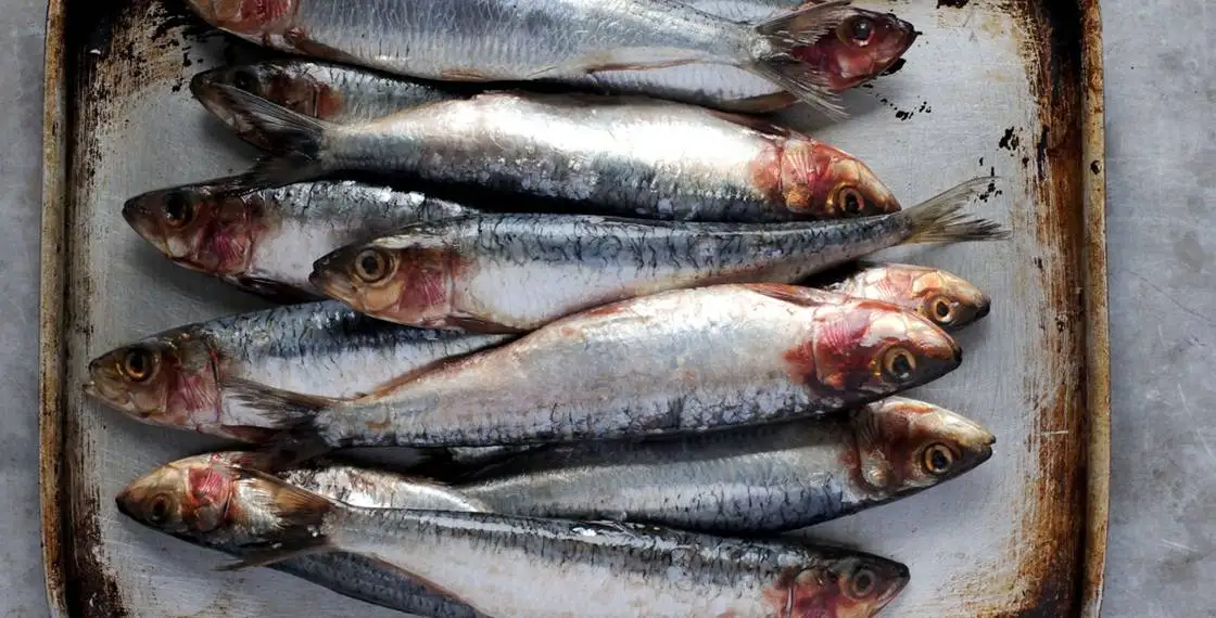 10 ماده غذایی که بیشتر از «شیر» کلسیم دارند