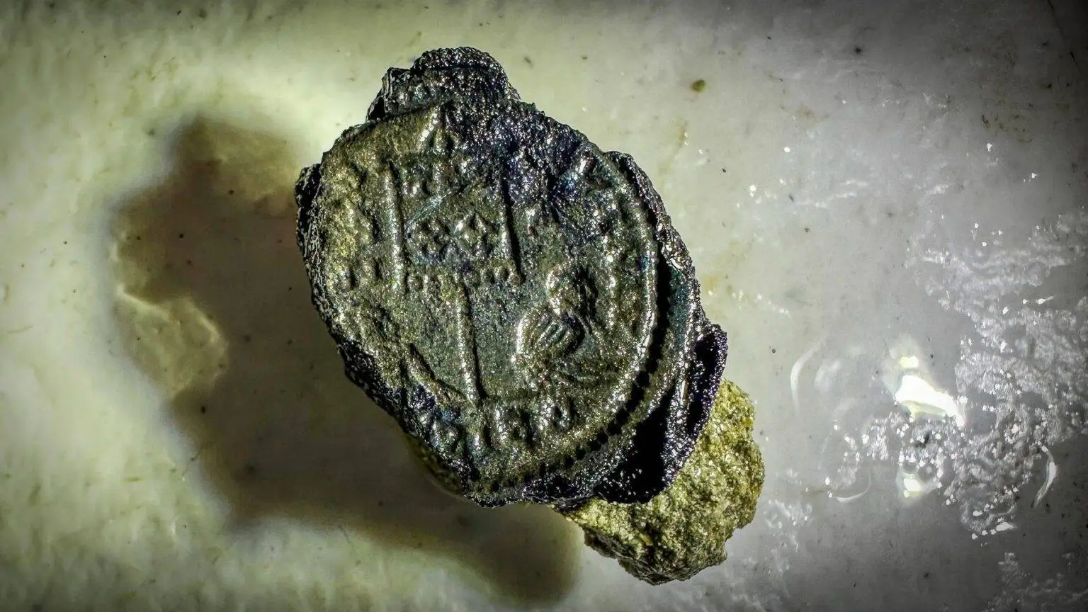 کشتی 1700 ساله در هنگام آب تنی در دریا کشف شد