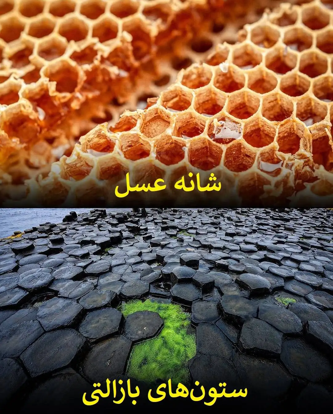تصاویر؛ الگوهای باورنکردنی در طبیعت؛ از سحابی هلیکس تا چشم انسان!