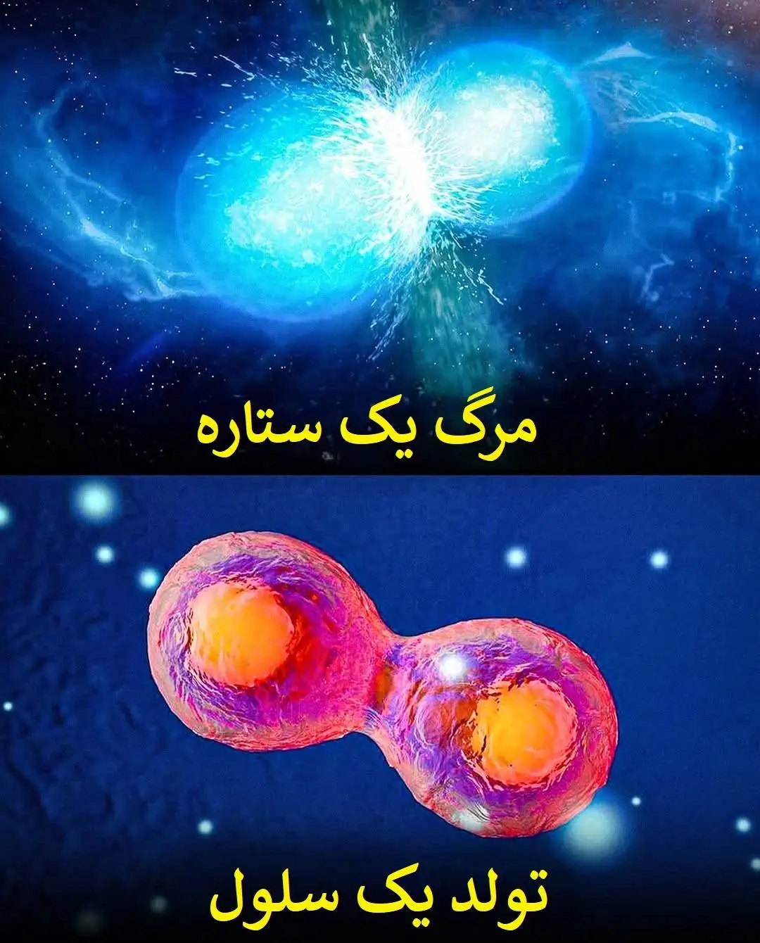 تصاویر؛ الگوهای باورنکردنی در طبیعت؛ از سحابی هلیکس تا چشم انسان!
