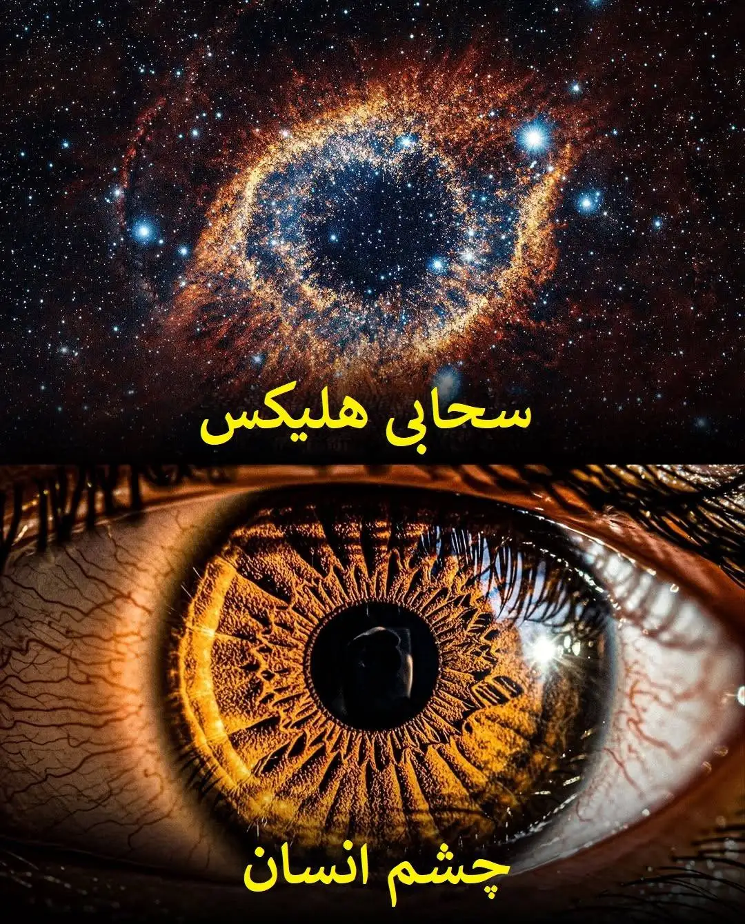تصاویر؛ الگوهای باورنکردنی در طبیعت؛ از سحابی هلیکس تا چشم انسان!