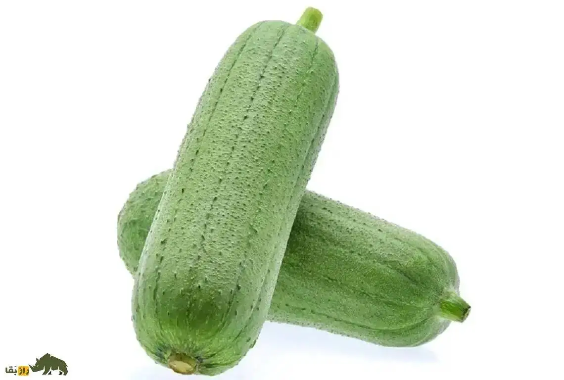 تصاویر؛ لیف یا خیار مصری؛ میوه گرمسیری شبیه کدو که از آن لیف و اسفنج حمام تولید می شود!