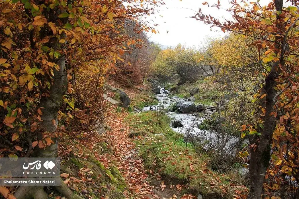 تصاویر؛ سمفونی رنگ های پاییزی در کوهستان چالوس