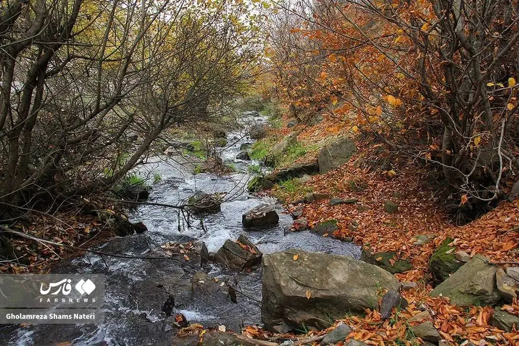 تصاویر؛ سمفونی رنگ های پاییزی در کوهستان چالوس