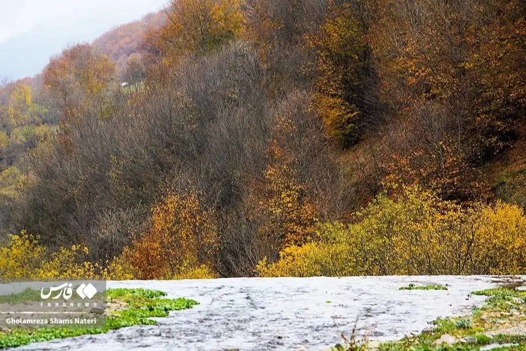تصاویر؛ سمفونی رنگ های پاییزی در کوهستان چالوس
