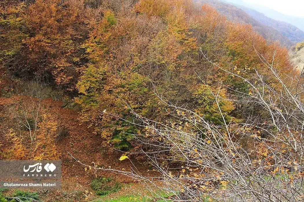 تصاویر؛ سمفونی رنگ های پاییزی در کوهستان چالوس