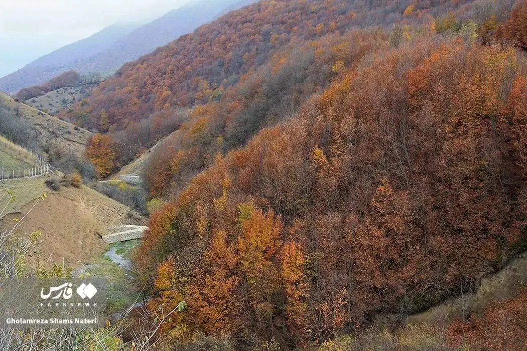 تصاویر؛ سمفونی رنگ های پاییزی در کوهستان چالوس
