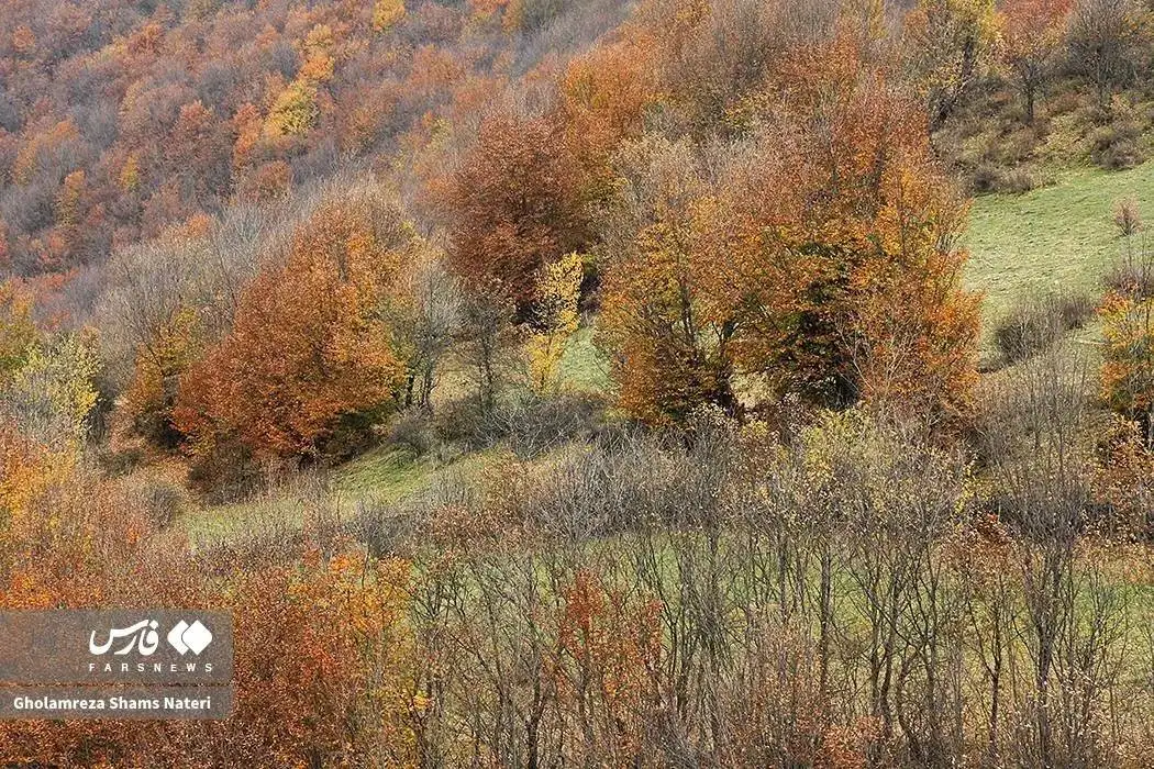 تصاویر؛ سمفونی رنگ های پاییزی در کوهستان چالوس